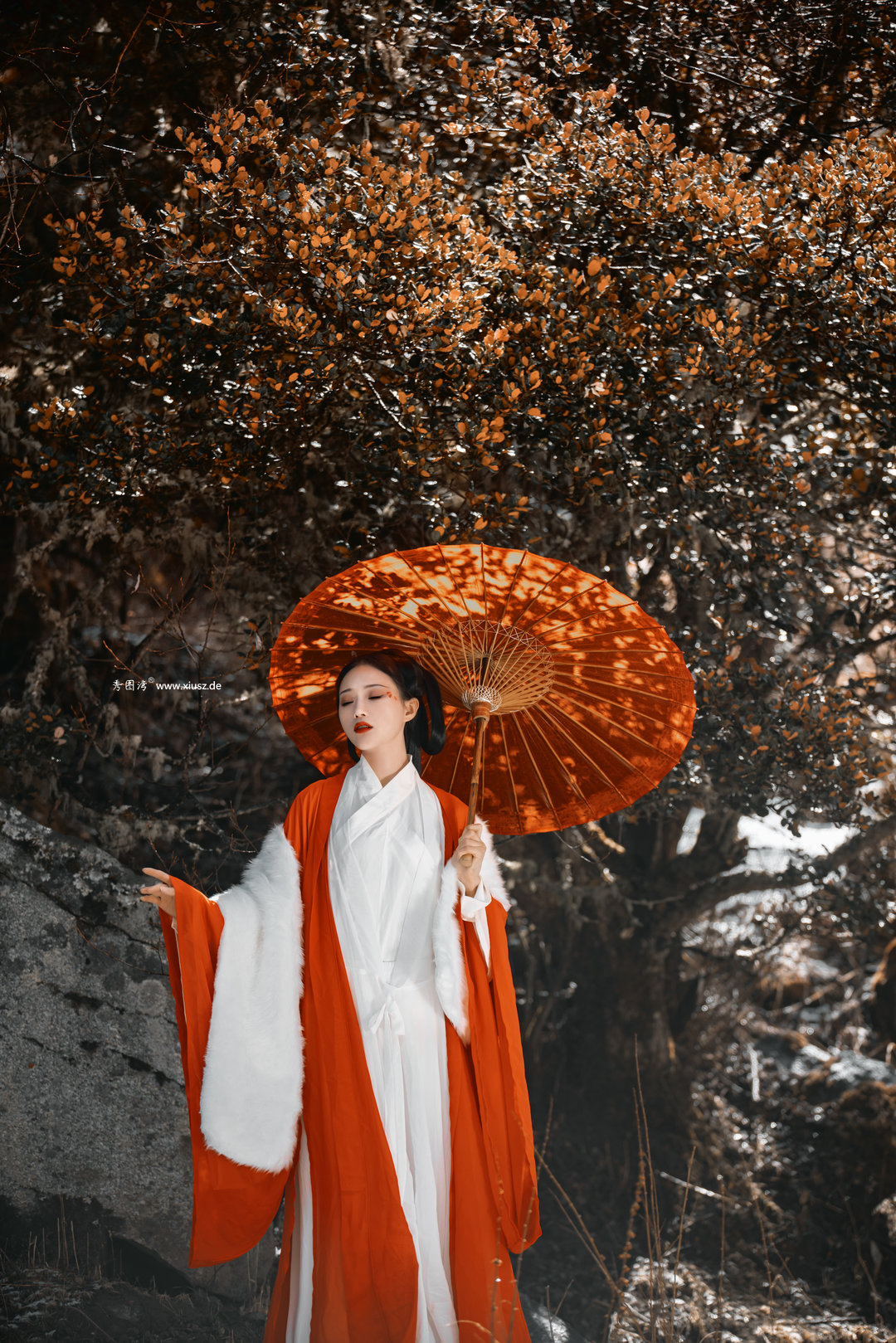 [YITUYU艺图语]2023.05.03 山林 薇薇[26+1P]